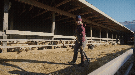 Linc Farm Nova Scotia Federation of Agriculture